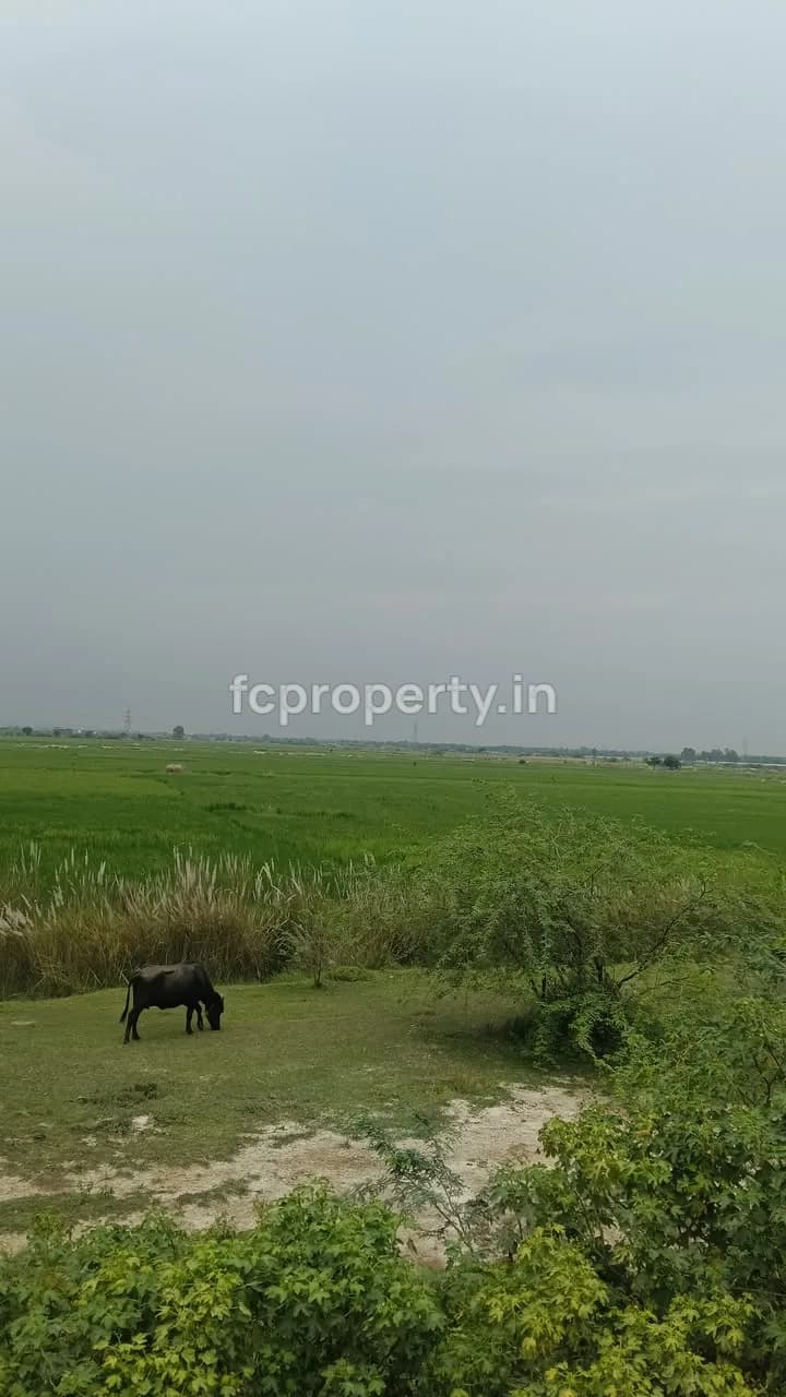 Plots for Sale near Scorpio Club, Kursi Road, Lucknow — 1,000–4,000 Sq.ft, Woodland Phase, Kursi Road