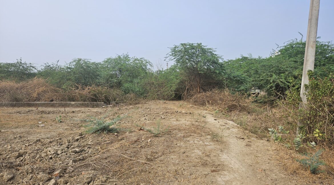 Plot for sale located at Hari Masjid in Municipal Corporation sport collage lko